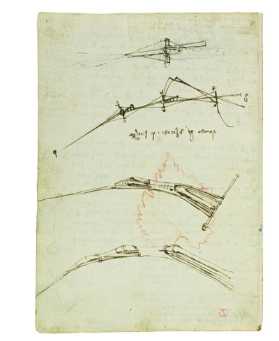Codex on the Flight of Birds, Folio 11 Verso by Leonardo da Vinci